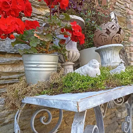 Πανσιόν La Ferme De La Cour 3*