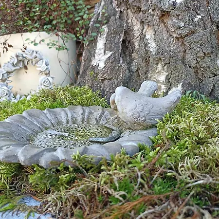 Πανσιόν La Ferme De La Cour