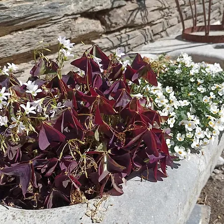 La Ferme De La Cour Herbeumont